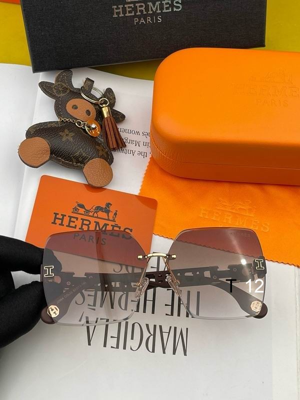 Hermes Sunglasses 42